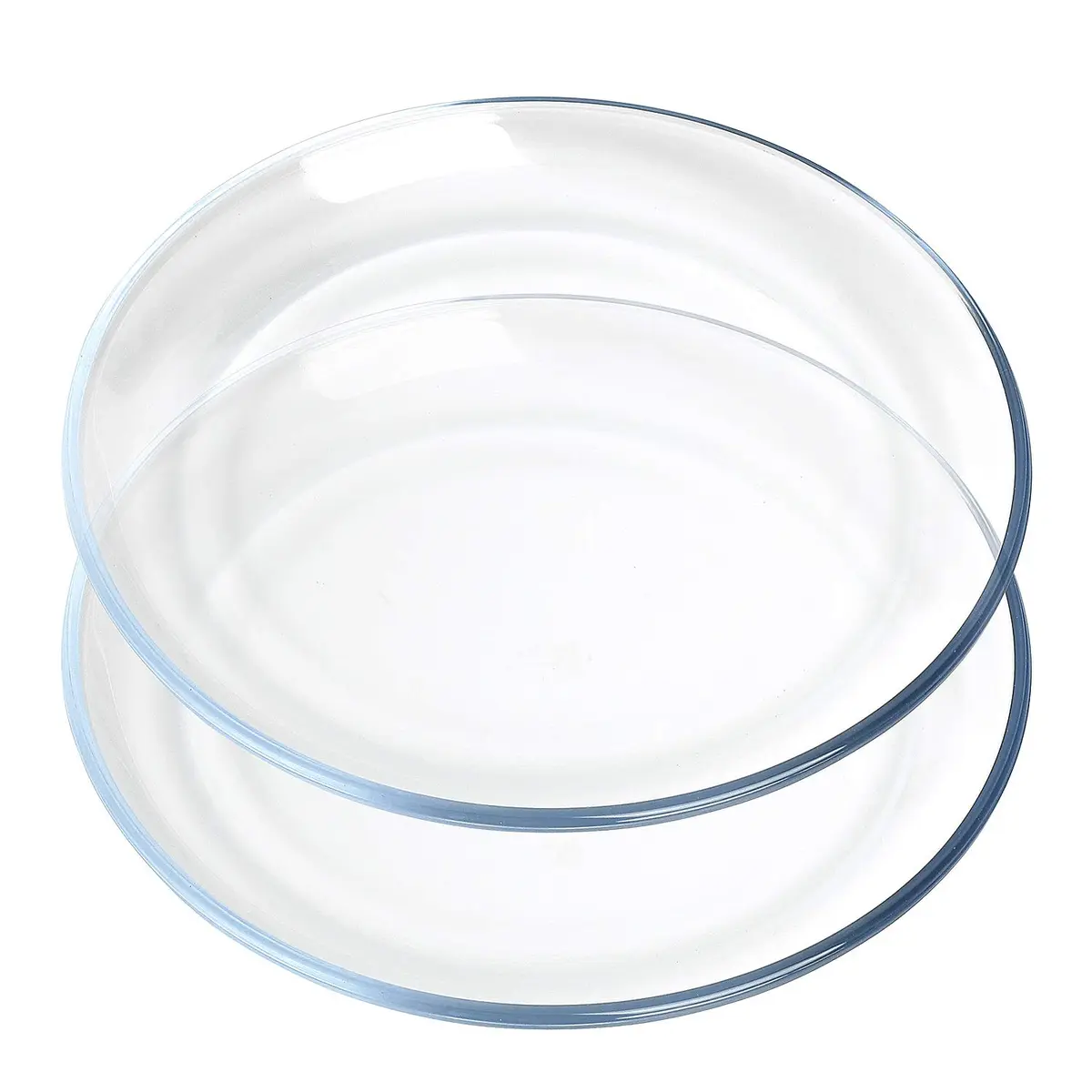 FOYO Glass Plate Set, 10 inch Round Tempered Dinner Plates, Set of 2 | Microwave & Dishwasher Safe - main product image