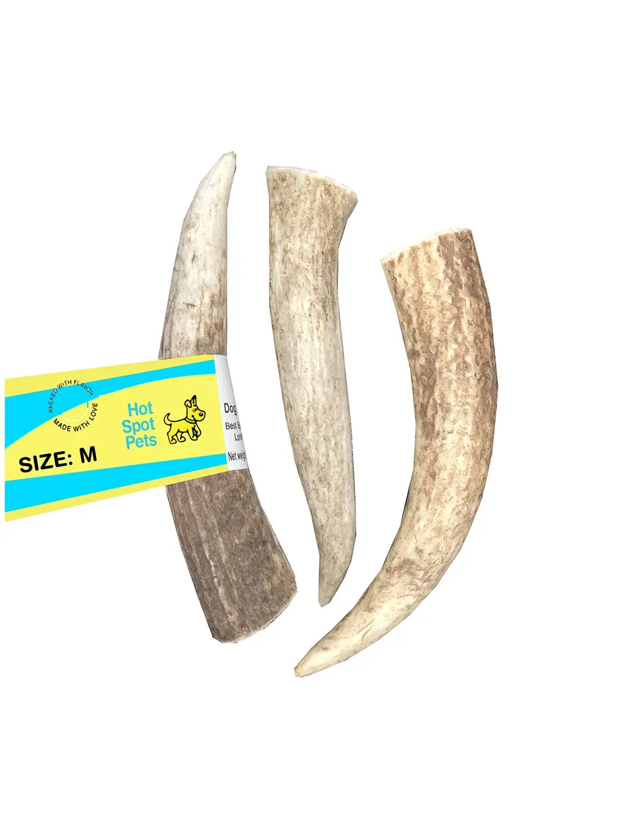 hotspot pets Antlers for Dogs 1 Count (Pack of 1) | Naturally Shed Elk Antler Chew for Aggressive Chewers - main product image