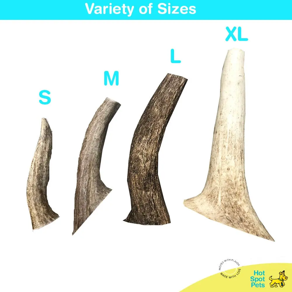hotspot pets Antlers for Dogs 1 Count (Pack of 1) | Naturally Shed Elk Antler Chew for Aggressive Chewers - view 5