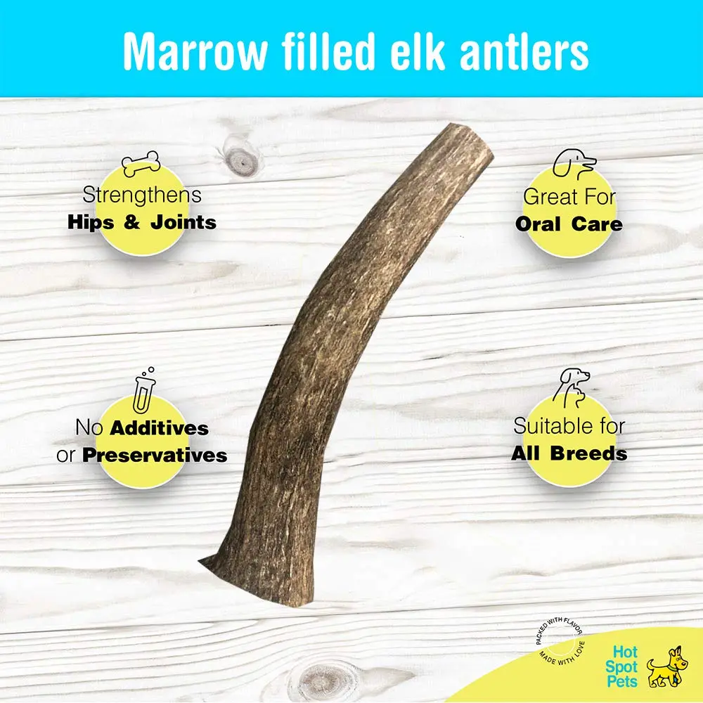 hotspot pets Antlers for Dogs 1 Count (Pack of 1) | Naturally Shed Elk Antler Chew for Aggressive Chewers - view 2