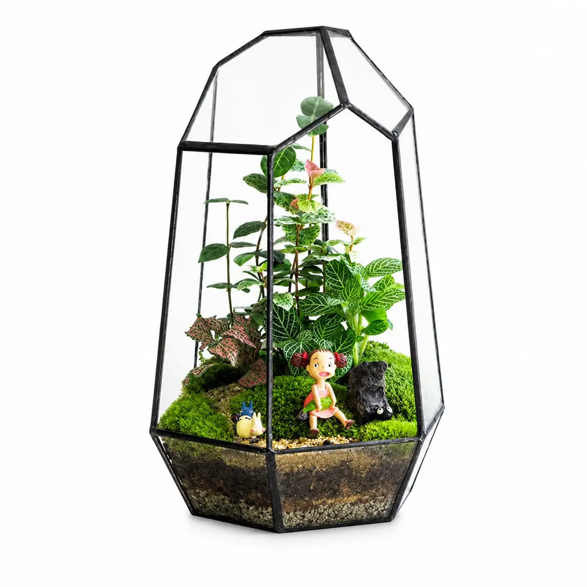 libproqia Geometric Glass Terrarium Planter 16.5cm (6.5" L x 5.7" W x 9.8" H) | Open-Front Design for Succulents & Air Plants - view 8