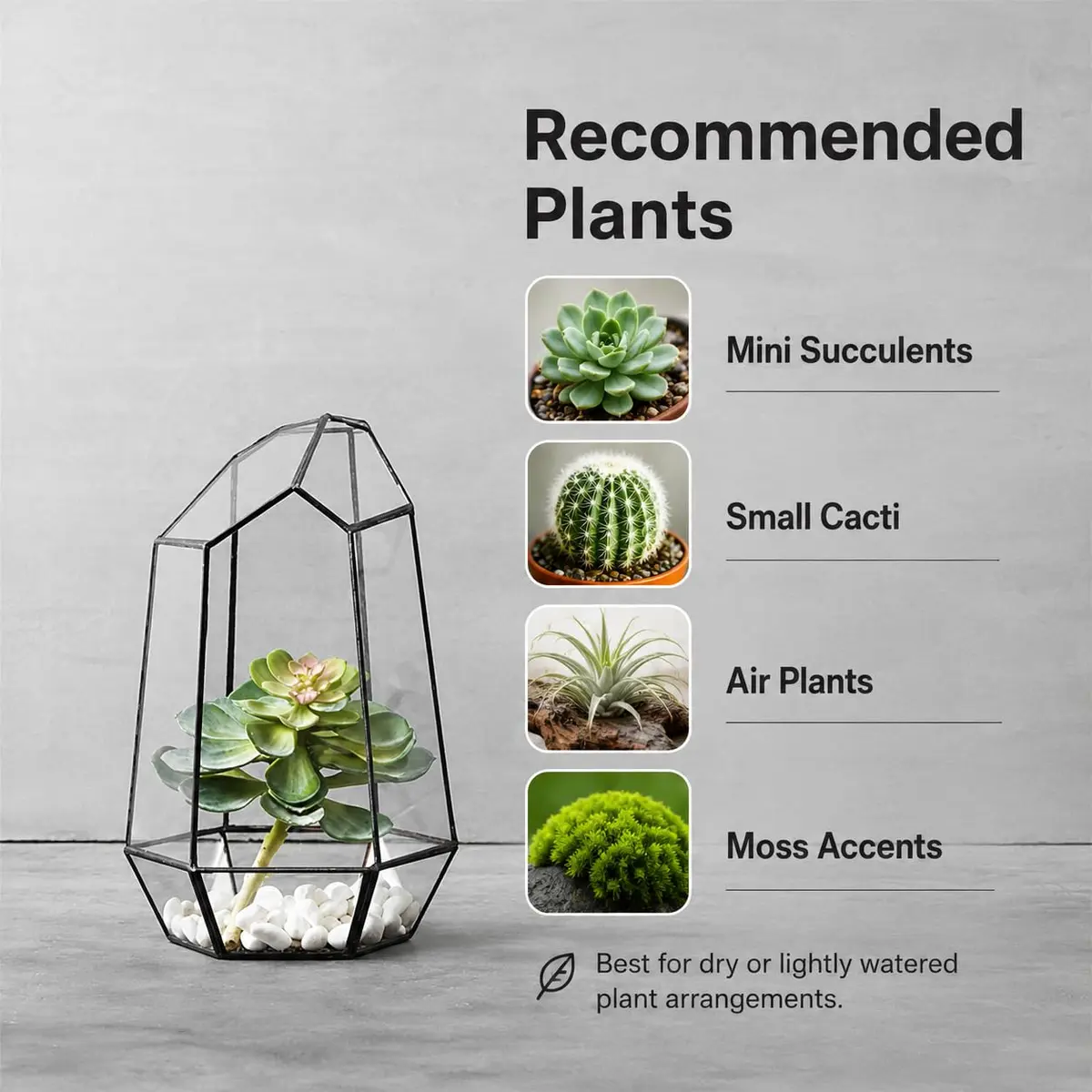 libproqia Geometric Glass Terrarium Planter 16.5cm (6.5" L x 5.7" W x 9.8" H) | Open-Front Design for Succulents & Air Plants - view 3
