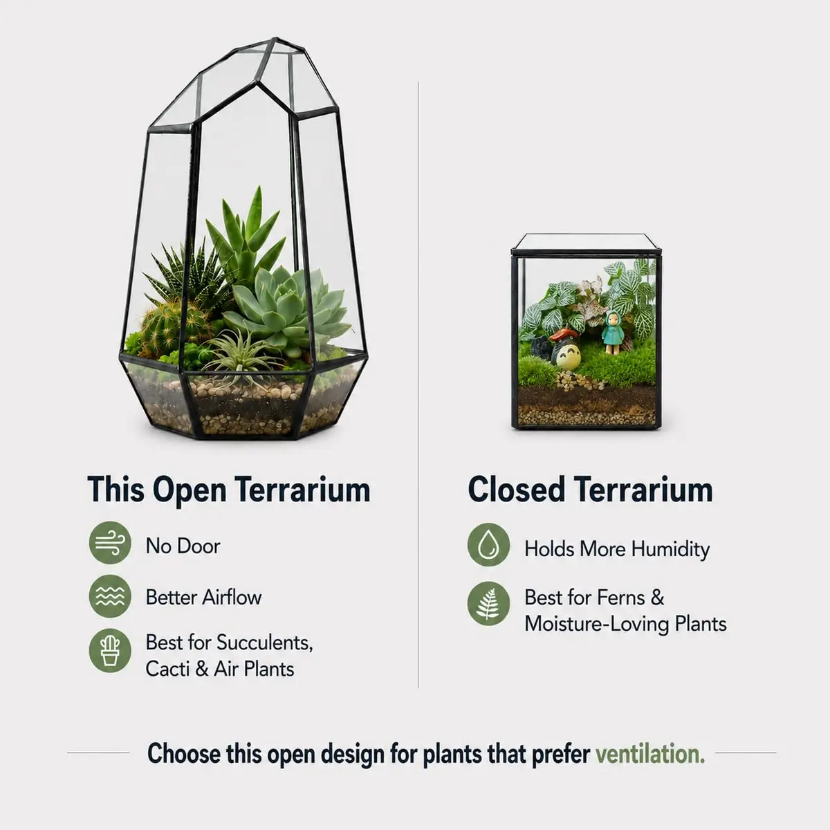 libproqia Geometric Glass Terrarium Planter 16.5cm (6.5" L x 5.7" W x 9.8" H) | Open-Front Design for Succulents & Air Plants - view 4