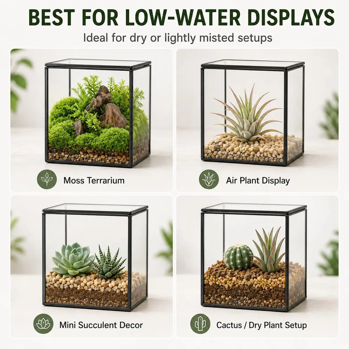 libproqia Small Square Glass Terrarium with Lid 10.9cm (4.3 Inch) | Mini Fairy Garden Display Case - view 5