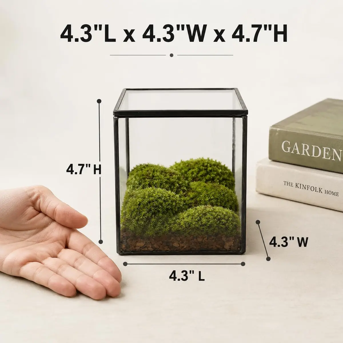 libproqia Small Square Glass Terrarium with Lid 10.9cm (4.3 Inch) | Mini Fairy Garden Display Case - view 2