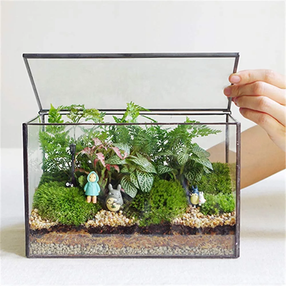 Terrariums