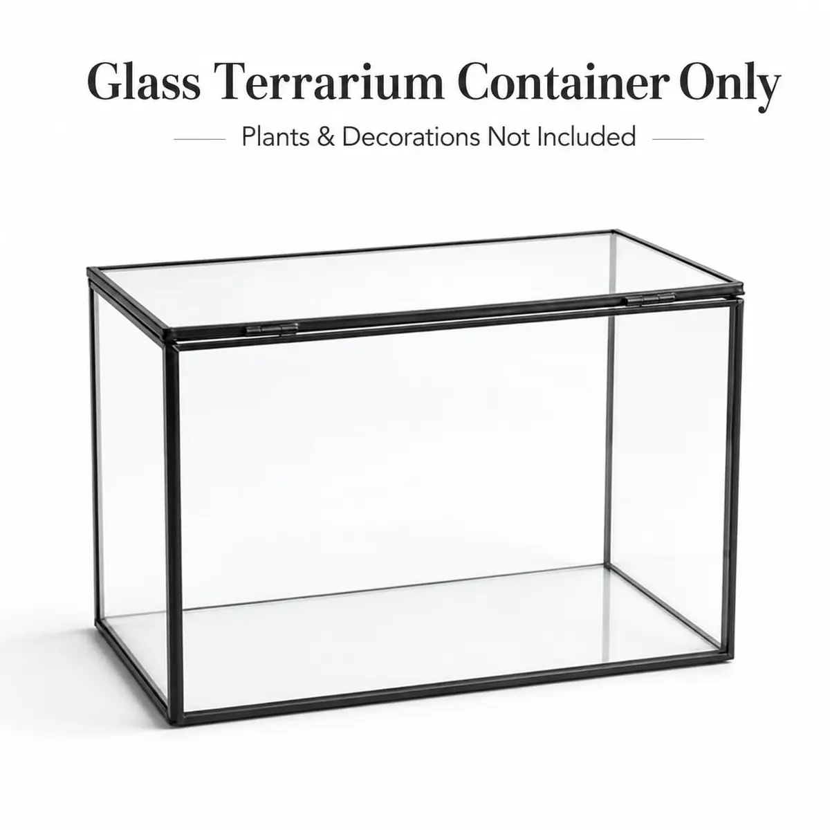 libproqia Rectangular Glass Plant Terrarium with Lid 21cm x 12cm x 14cm | Modern Black Frame for Indoor Plants - view 5