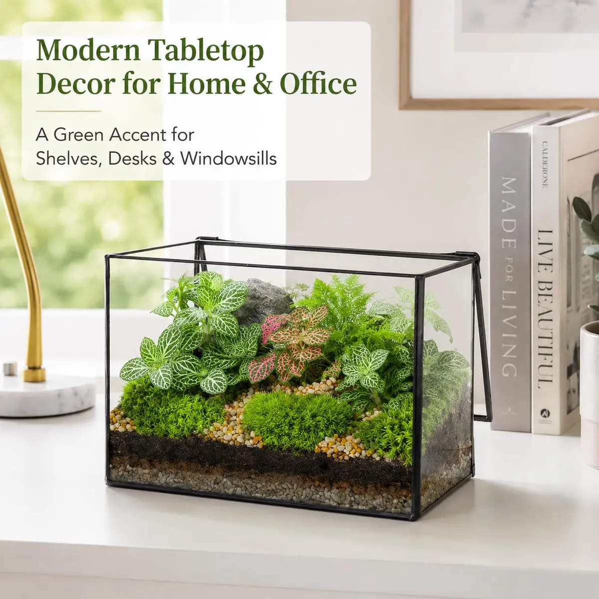 libproqia Rectangular Glass Plant Terrarium with Lid 21cm x 12cm x 14cm | Modern Black Frame for Indoor Plants - view 6