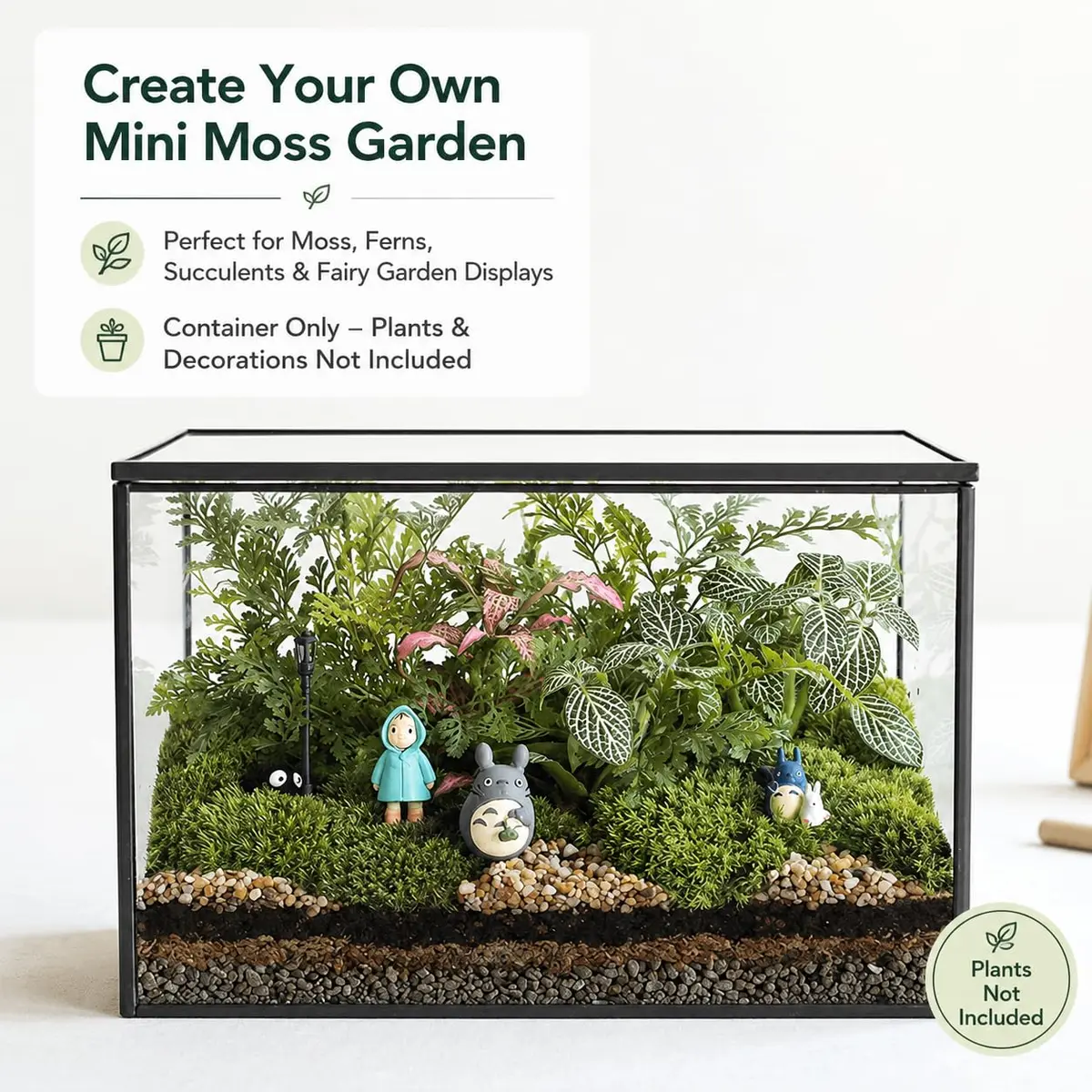 libproqia Rectangular Glass Plant Terrarium with Lid 21cm x 12cm x 14cm | Modern Black Frame for Indoor Plants - view 2