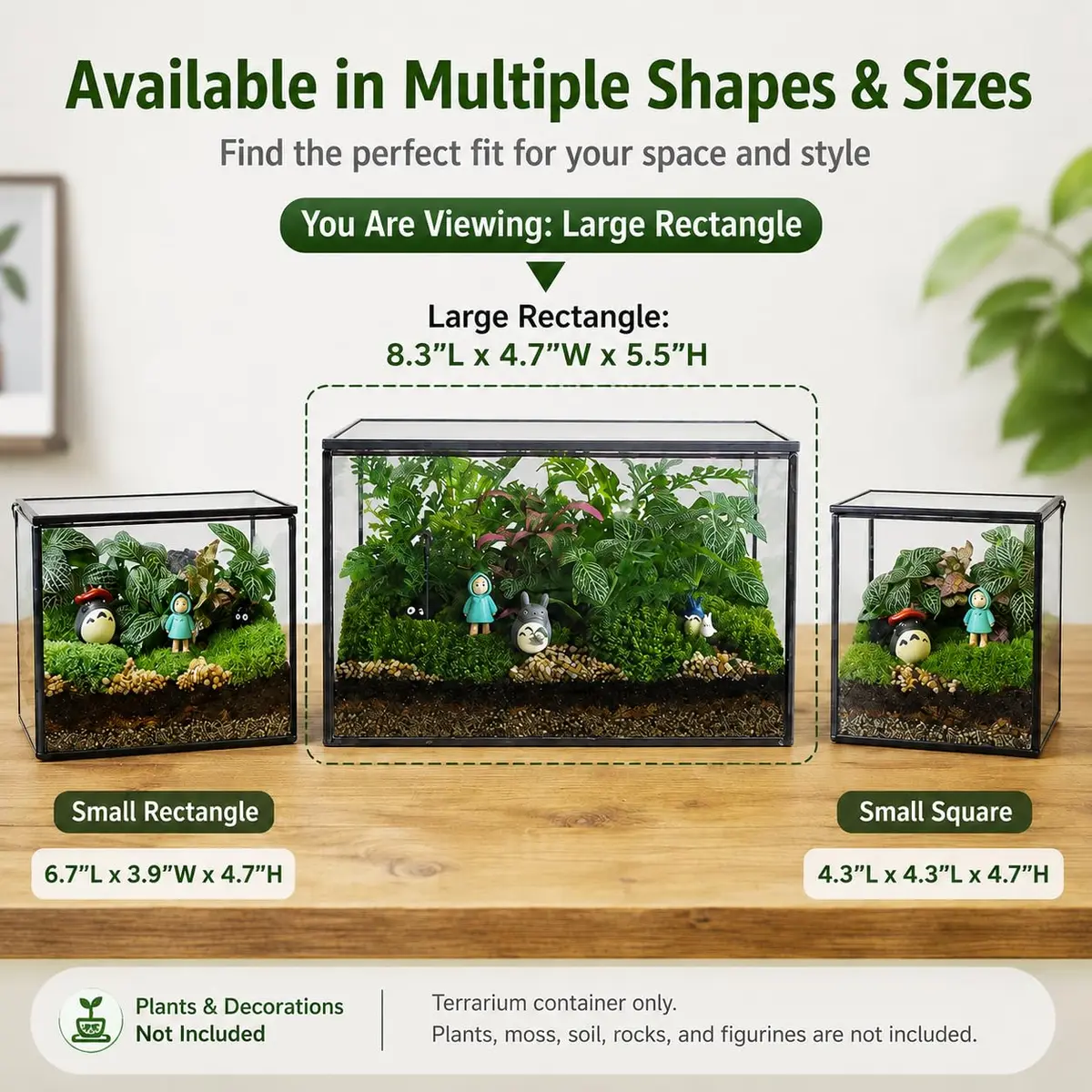 libproqia Rectangular Glass Plant Terrarium with Lid 21cm x 12cm x 14cm | Modern Black Frame for Indoor Plants - view 3