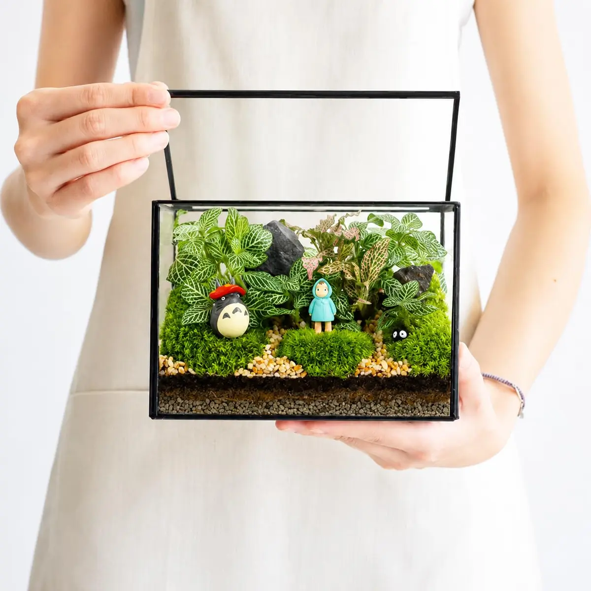 libproqia Clear Geometric Glass Terrarium with Lid 16.89cm (6.7" L x 3.9" W x 4.7" H) | Decorative Mini Plant Display - main product image