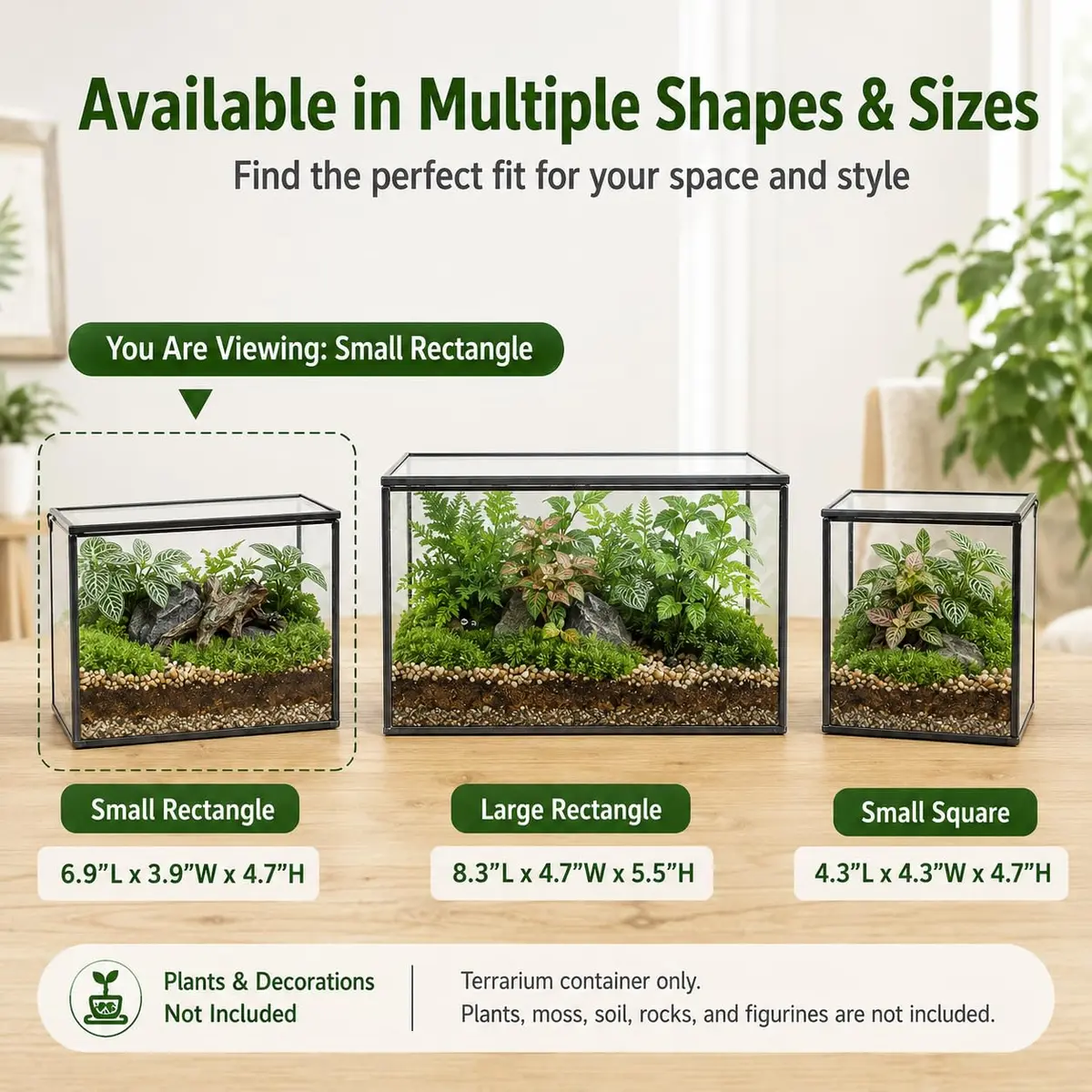 libproqia Clear Geometric Glass Terrarium with Lid 16.89cm (6.7" L x 3.9" W x 4.7" H) | Decorative Mini Plant Display - view 7