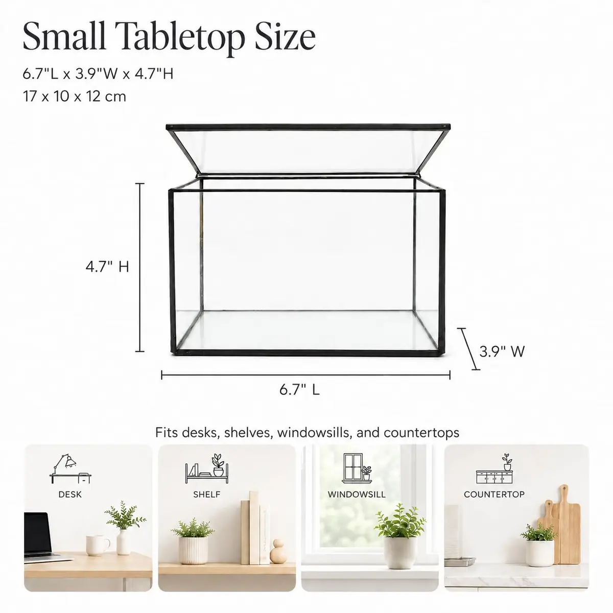 libproqia Clear Geometric Glass Terrarium with Lid 16.89cm (6.7" L x 3.9" W x 4.7" H) | Decorative Mini Plant Display - view 2