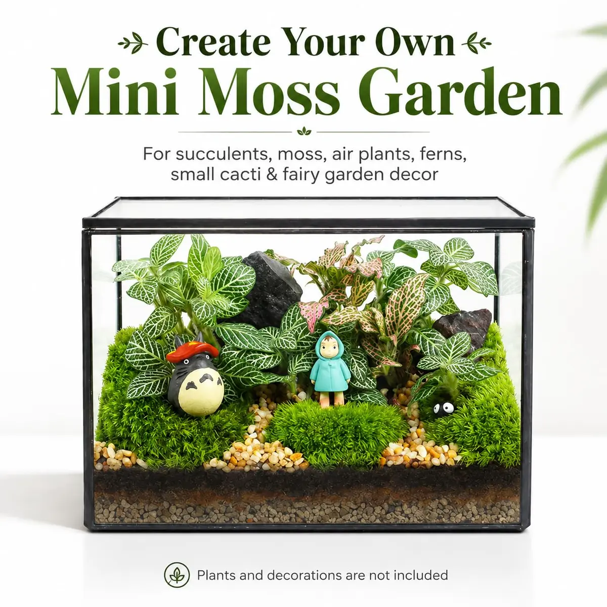libproqia Clear Geometric Glass Terrarium with Lid 16.89cm (6.7" L x 3.9" W x 4.7" H) | Decorative Mini Plant Display - view 3