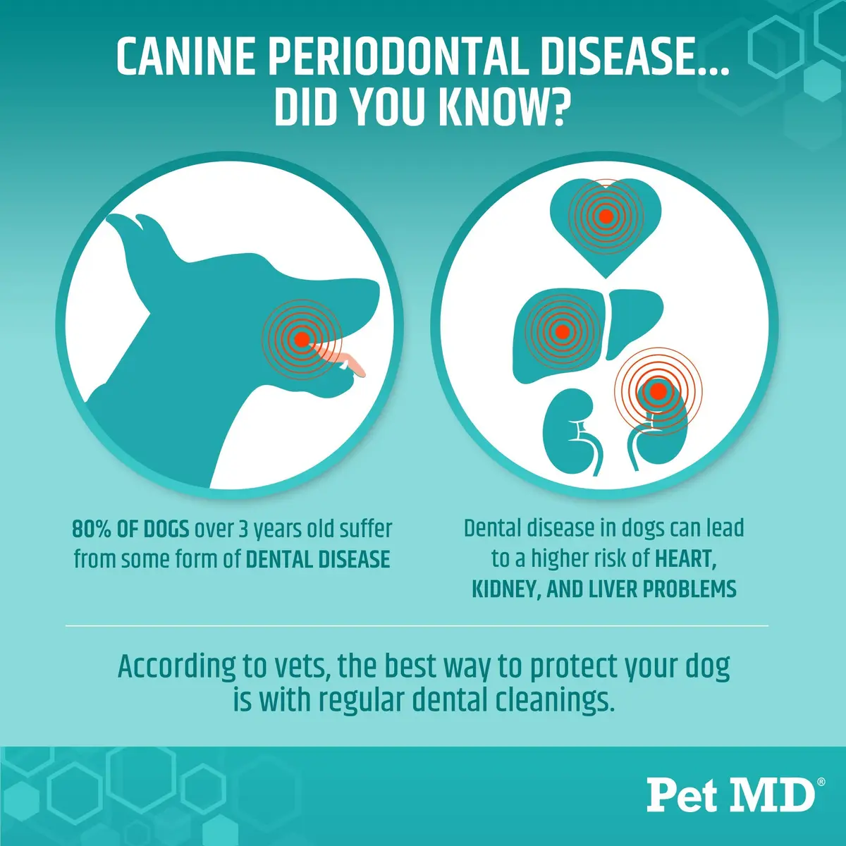 Pet MD Dental Wipes for Dogs Teeth - Fresh Apple & Mint Flavor - 100ct | Easy Dental Care for Dogs in India - view 2