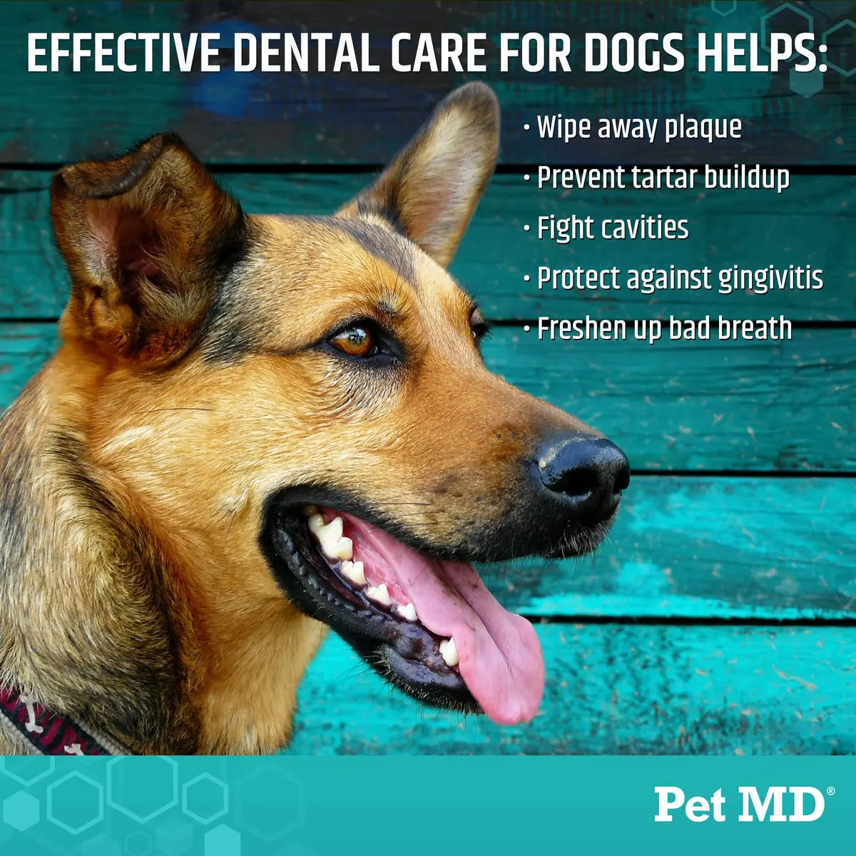 Pet MD Dental Wipes for Dogs Teeth - Fresh Apple & Mint Flavor - 100ct | Easy Dental Care for Dogs in India - view 3