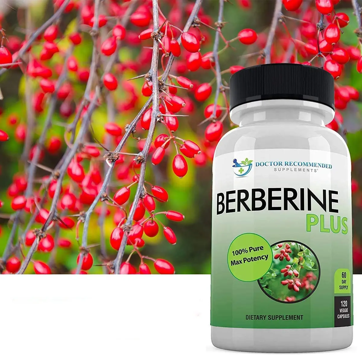 DOCTOR RECOMMENDED SUPPLEMENTS Berberine Plus 1200mg | 120 Veggie Capsules for Healthy System - view 4