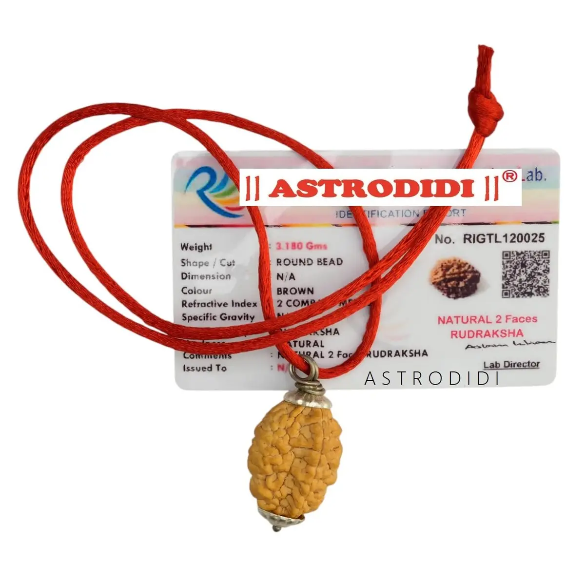 ASTRODIDI Rudraksha 2 Mukhi Pendant (Brown) | Spiritual & Prosperity Charm for Women - main product image
