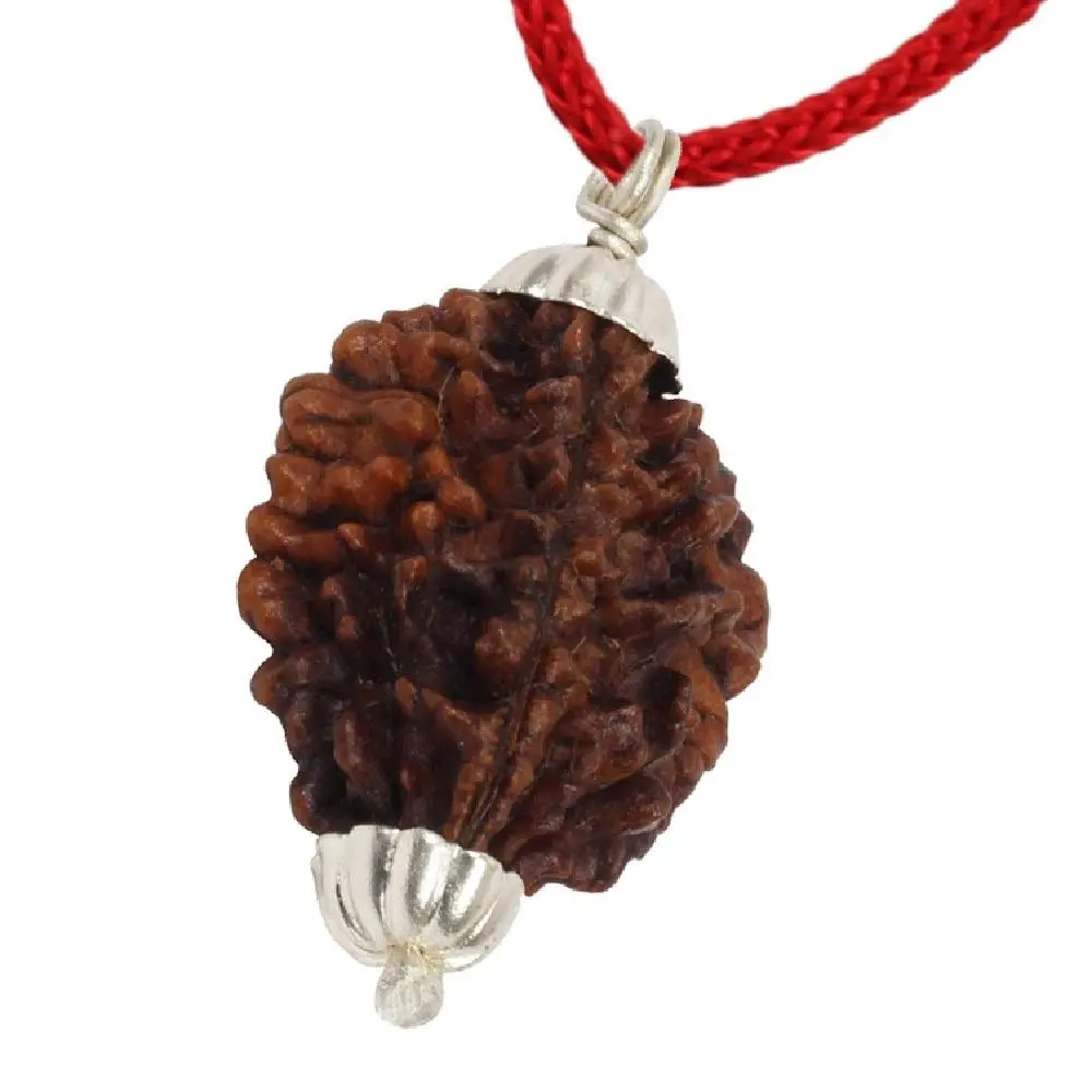 ASTRODIDI Rudraksha 2 Mukhi Pendant (Brown) | Spiritual & Prosperity Charm for Women - view 3