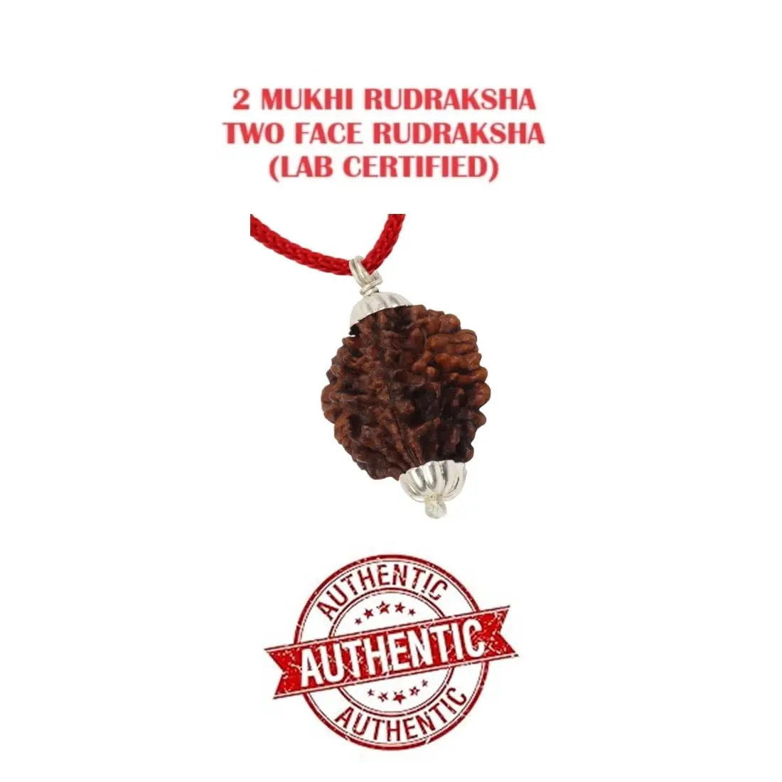 ASTRODIDI Rudraksha 2 Mukhi Pendant (Brown) | Spiritual & Prosperity Charm for Women - view 4