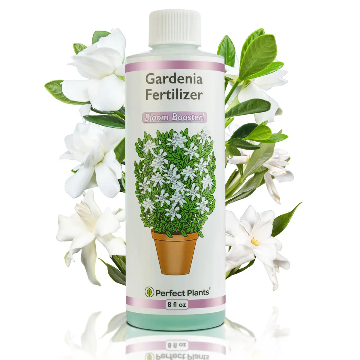 Perfect Plants Gardenia Liquid Fertilizer 8 oz | Bloom Boost Plant Food for Flowering Shrubs - main product image