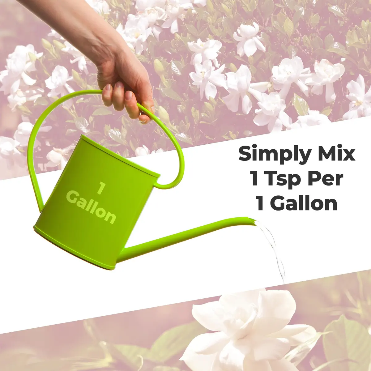 Perfect Plants Gardenia Liquid Fertilizer 8 oz | Bloom Boost Plant Food for Flowering Shrubs - view 5