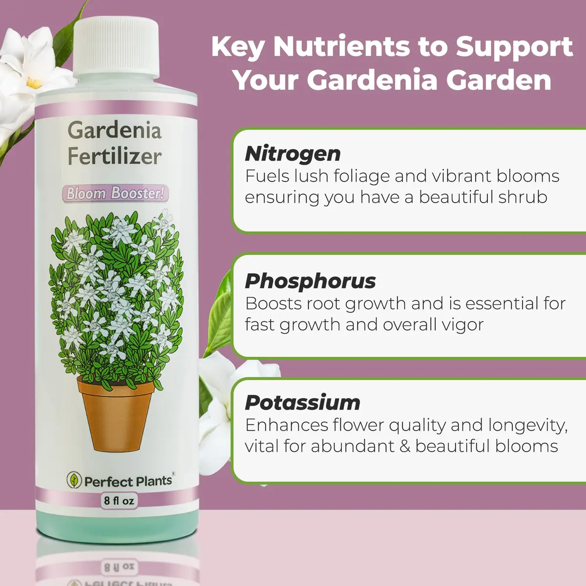 Perfect Plants Gardenia Liquid Fertilizer 8 oz | Bloom Boost Plant Food for Flowering Shrubs - view 2