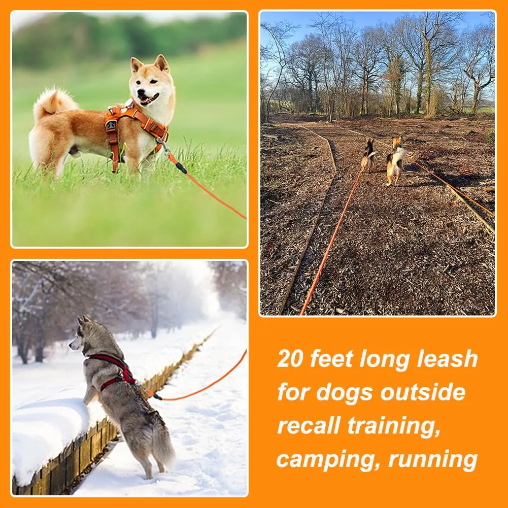 Vivifying Floating Long Dog Leash 6.1m (20ft) Orange | Durable Training Leash for Recall & Swimming - view 6