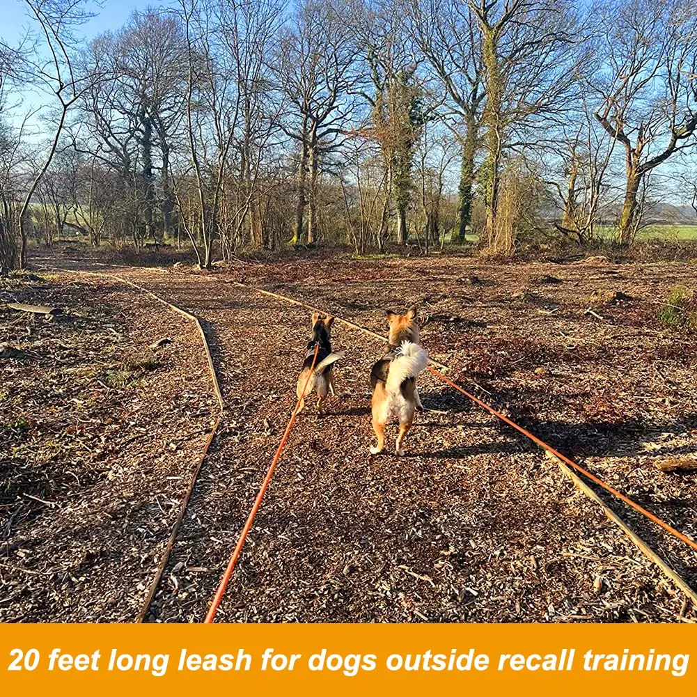 Vivifying Floating Long Dog Leash 6.1m (20ft) Orange | Durable Training Leash for Recall & Swimming - view 8