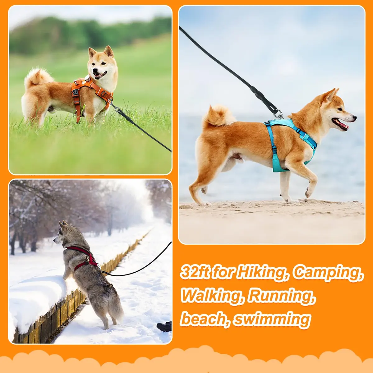 Vivifying Black Floating Dog Long Line 10m (32ft) | Recall Training Rope with Padded Handle - view 5