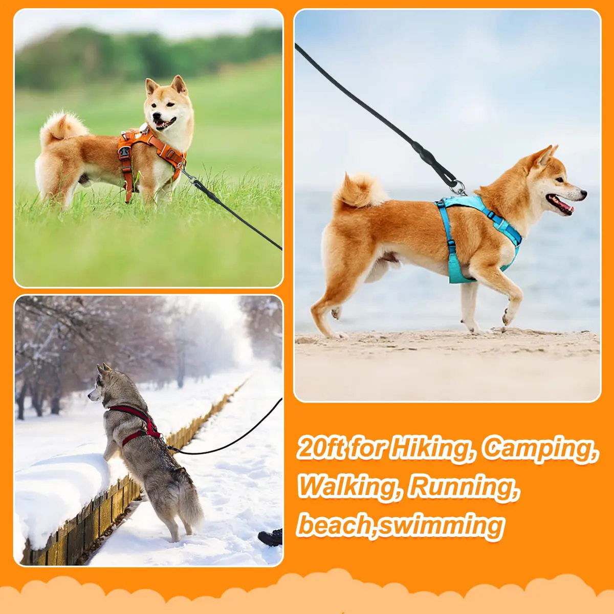 Vivifying 6m (20ft) Floating Dog Check Cord Leash | Durable Polypropylene Rope with Padded Handle & 360° Swivel Clasp - view 5