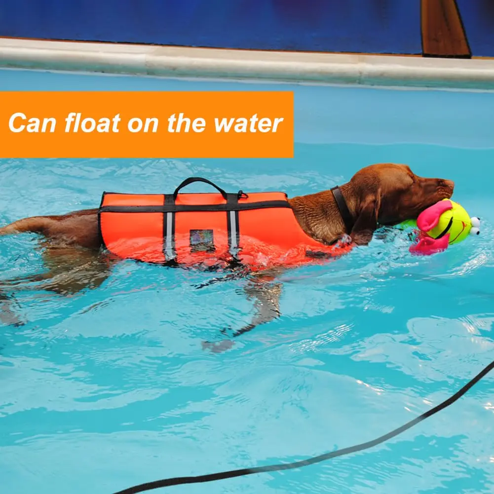 Vivifying 6m (20ft) Floating Dog Check Cord Leash | Durable Polypropylene Rope with Padded Handle & 360° Swivel Clasp - view 2