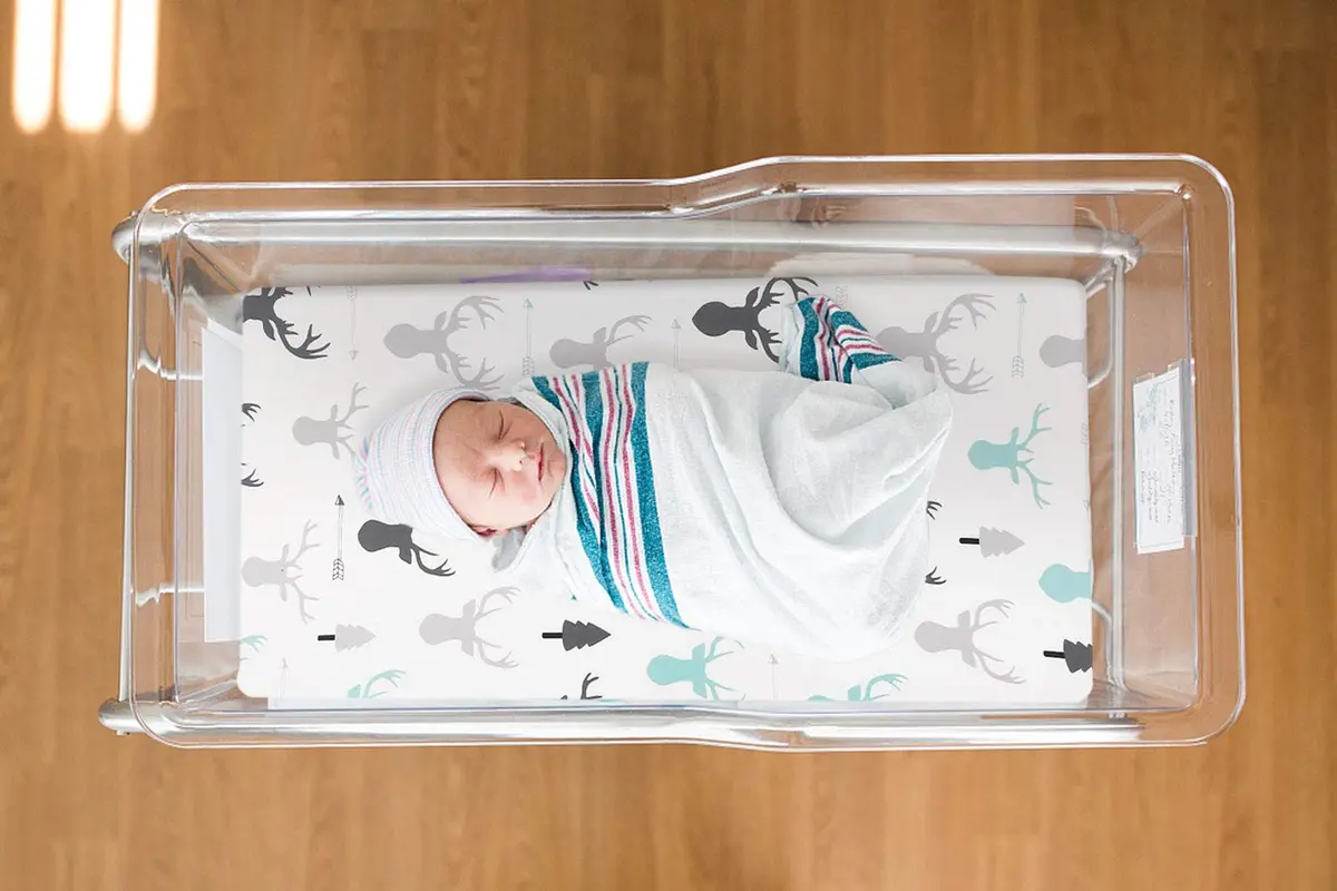 GRSSDER Fitted Bassinet Sheet Set 2 Pack | Ultra Soft Breathable Jersey Knit, Universal Fit for Rectangle, Oval, Hourglass, Safe & Snug (70-120c) - view 3