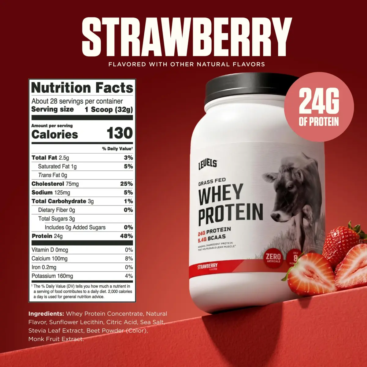 Levels Nutrition Strawberry Whey Protein Powder 907g (2lb) | 24g Protein, 5.4g BCAAs, Grass-Fed Dairy - view 3