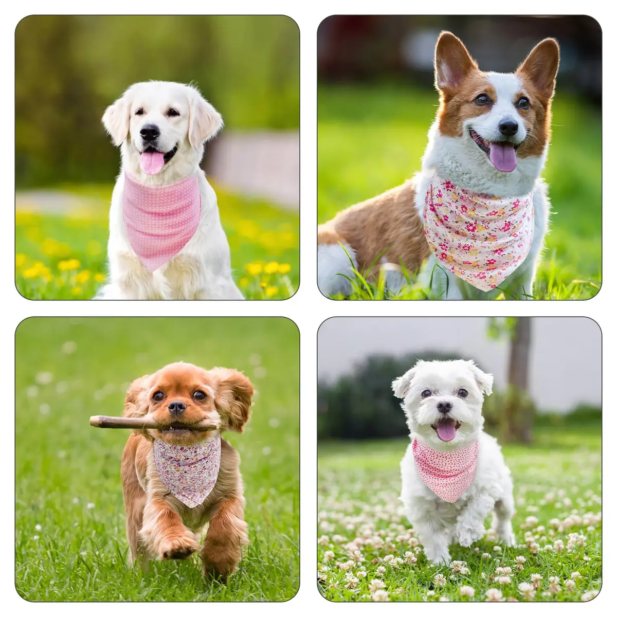 PAWCHIE Reversible Floral Dog Bandanas - 5 Pack | Adjustable Soft Square Scarves for Small Dogs & Cats - view 6