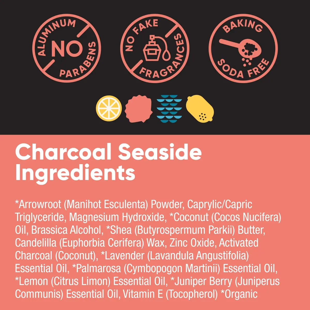 PRETTY FRANK Natural Baking Soda-Free Deodorant Stick, Charcoal Seaside | Sensitive Skin Friendly, Organic Ingredients (70-120 chars) - view 6
