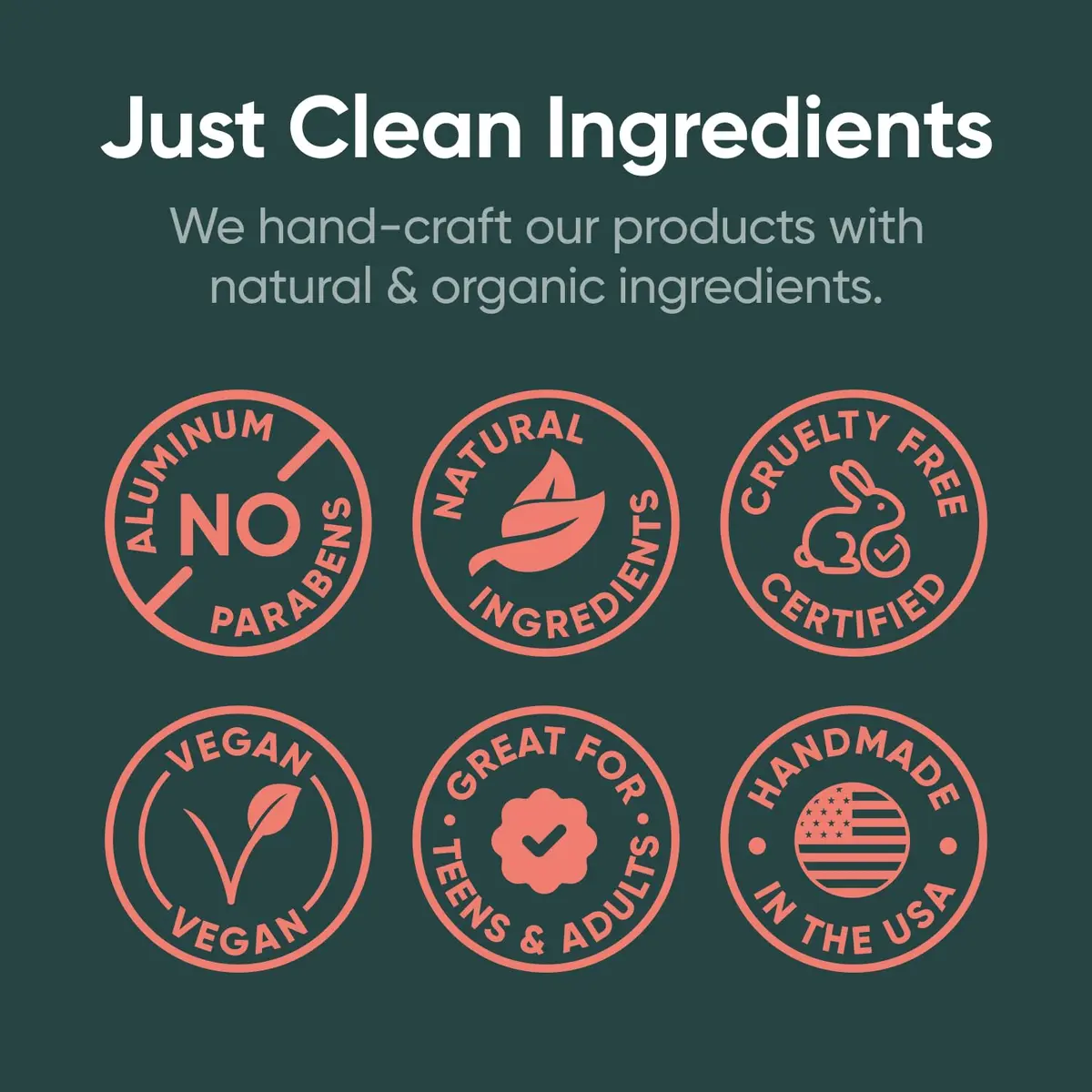 PRETTY FRANK Natural Baking Soda-Free Deodorant Stick, Charcoal Seaside | Sensitive Skin Friendly, Organic Ingredients (70-120 chars) - view 4
