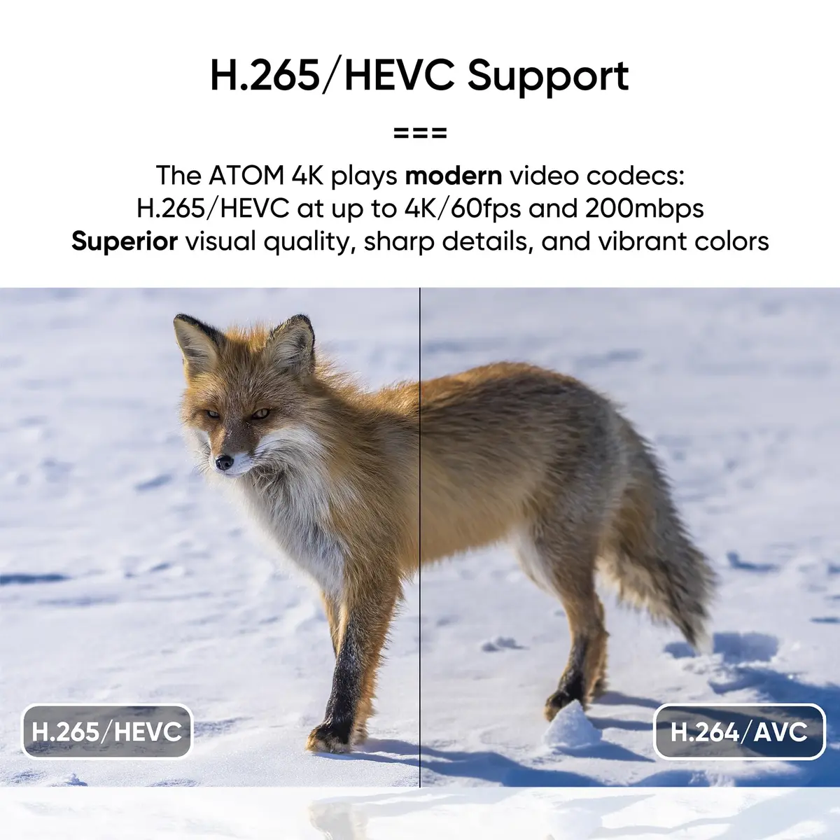 NEUMITECH Atom 4K Digital Media Player for USB Drives and SD Cards | HDMI 4K/60fps, Automatic Playback - view 4