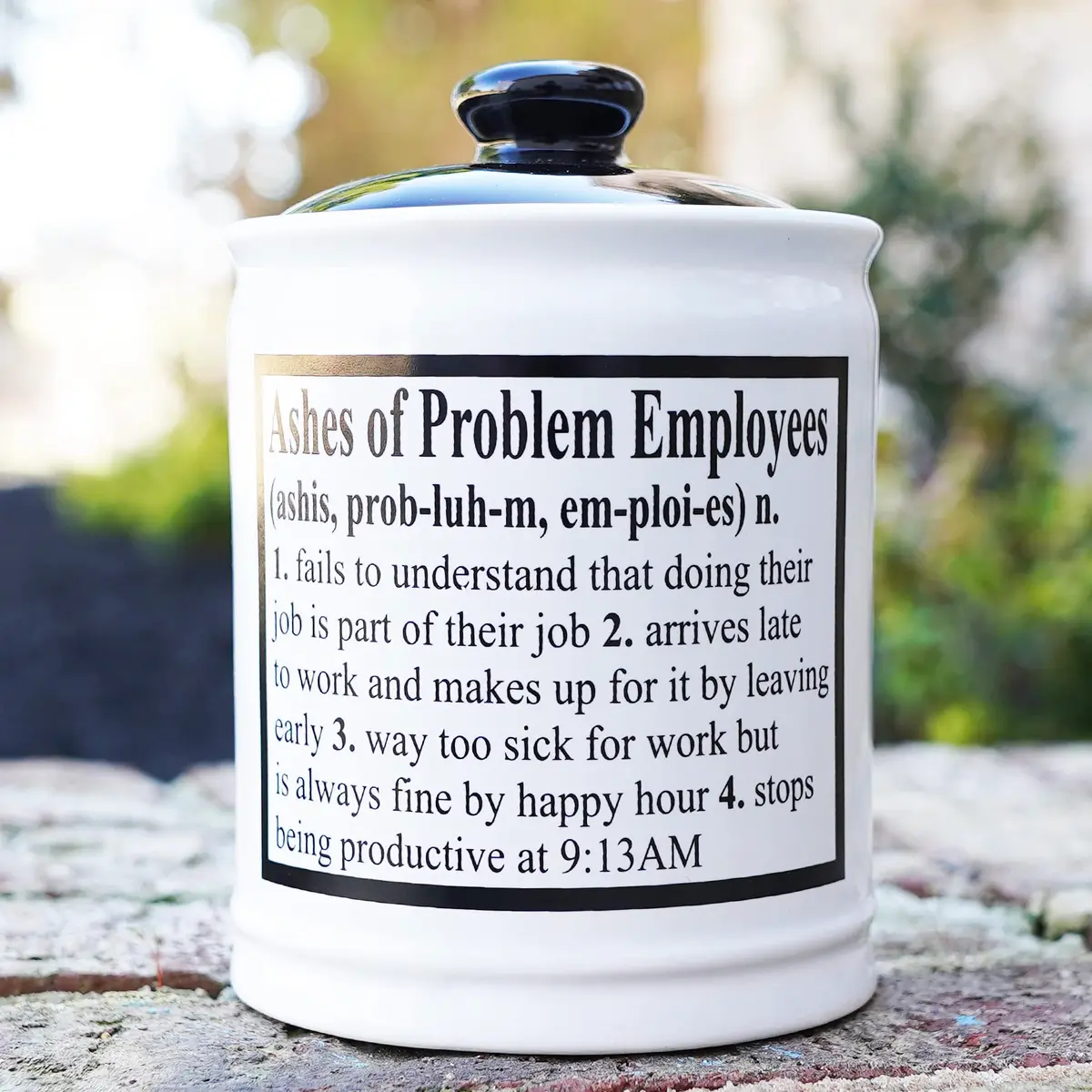 Cottage Creek Ashes of Problem Employees Ceramic Piggy Bank Jar | 15.24 cm (6 inch) Tall - view 9