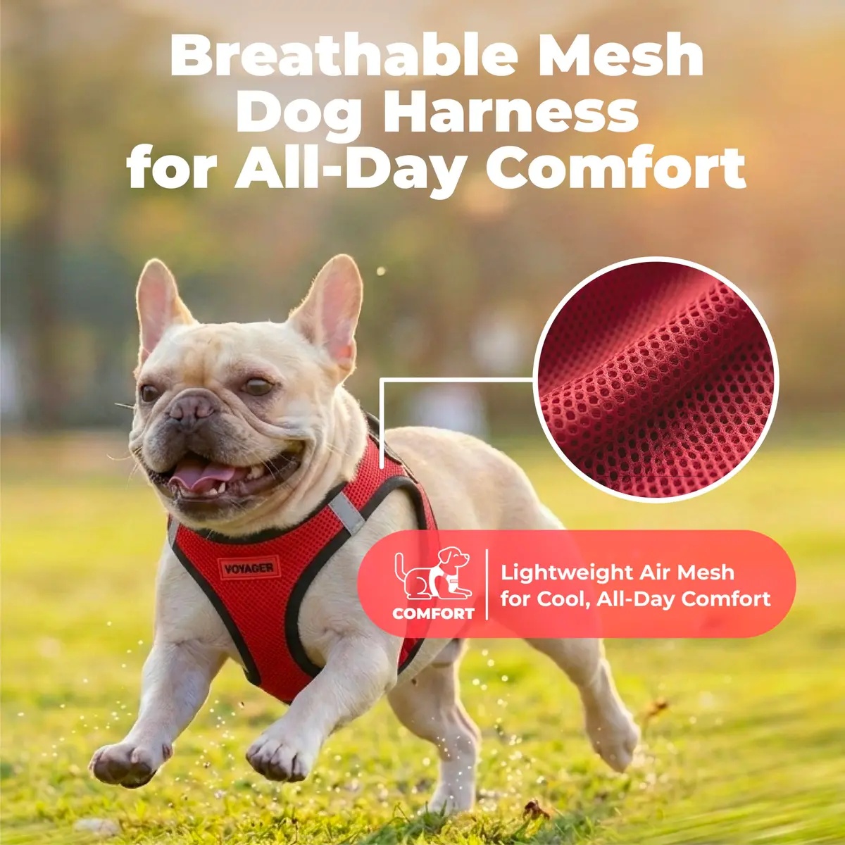 Best Pet Supplies Voyager Step-in Air Dog Vest Harness - Red/Black, XX-Small | Breathable Mesh, Reflective Bands - view 5