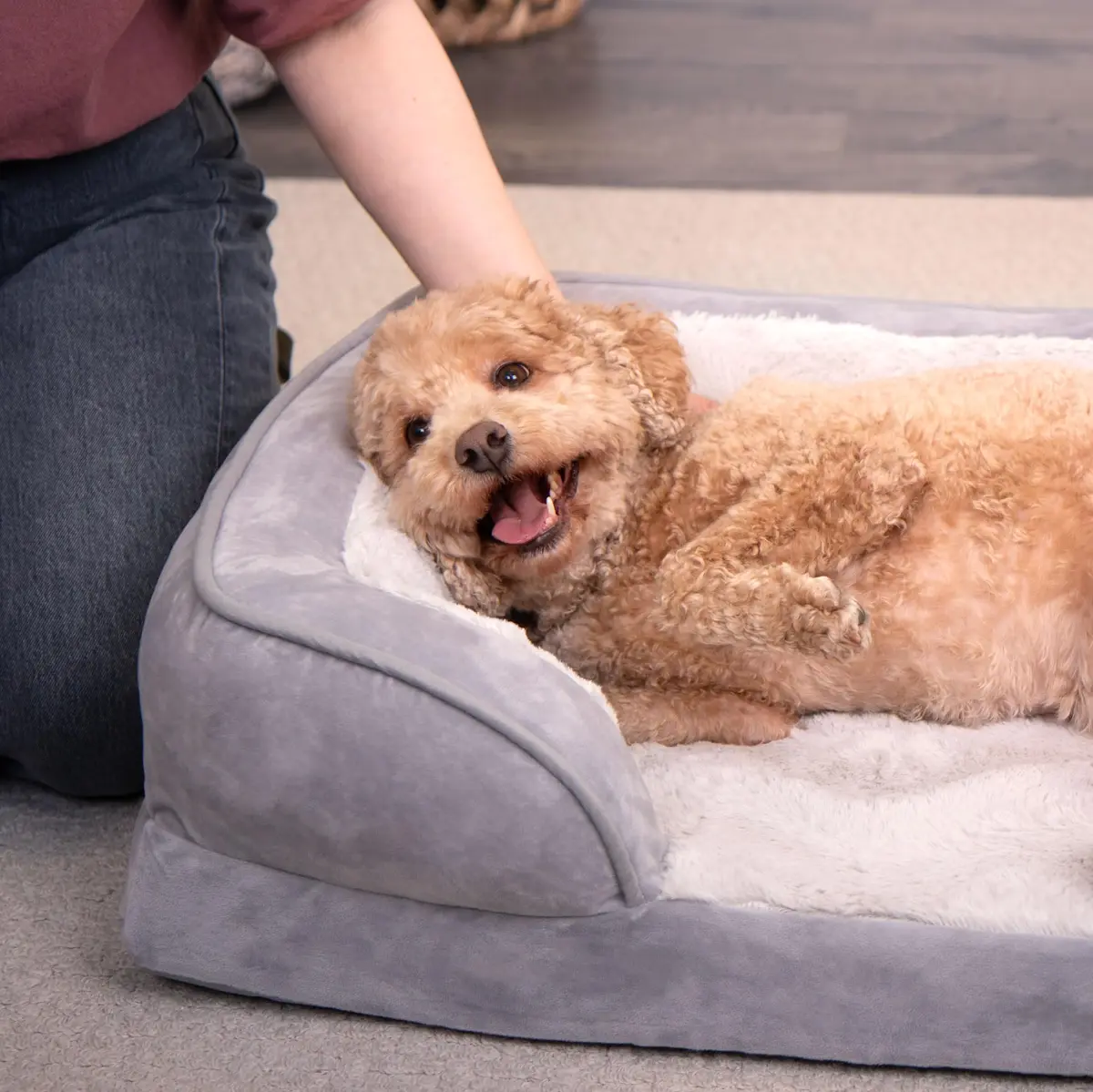 Furhaven Cooling Gel Dog Bed for Medium/Small Dogs | Plush & Velvet Waves, Removable Cover, Supports Up to 35 lbs - view 3