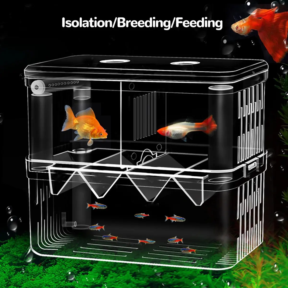 J-star Large Fish Breeder Box for Aquarium Tank | Acrylic Fish Hatchery & Isolation Tank - view 2