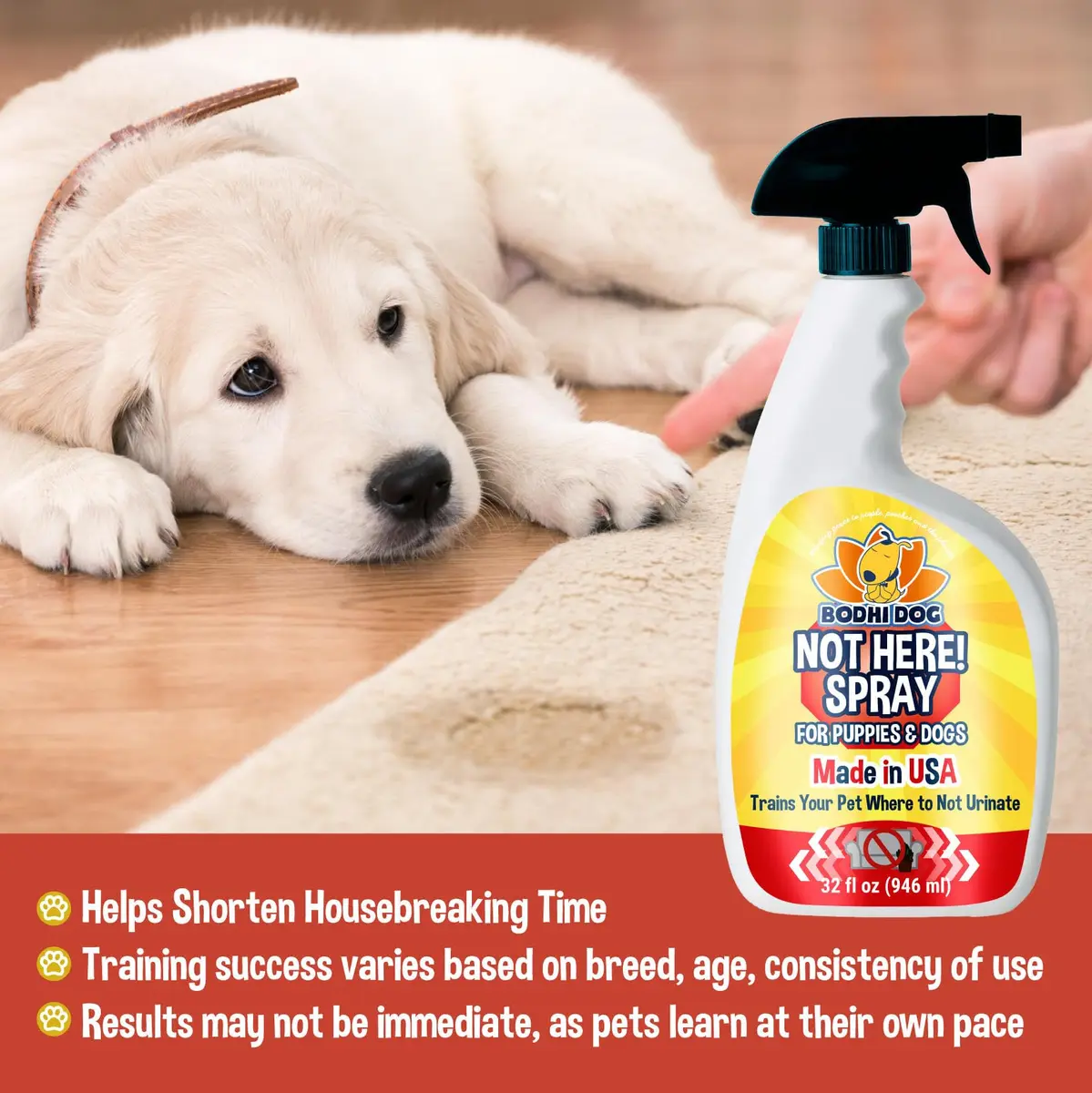 Bodhi Dog Not Here! Spray - Trains Your Pet Where Not to Pee Indoors or Outdoors - Anti Marking Deterrent for Furniture, Carpet & Floor - Training Corrector for Puppies & Dogs - Made in USA (32 Fl Oz) - view 2