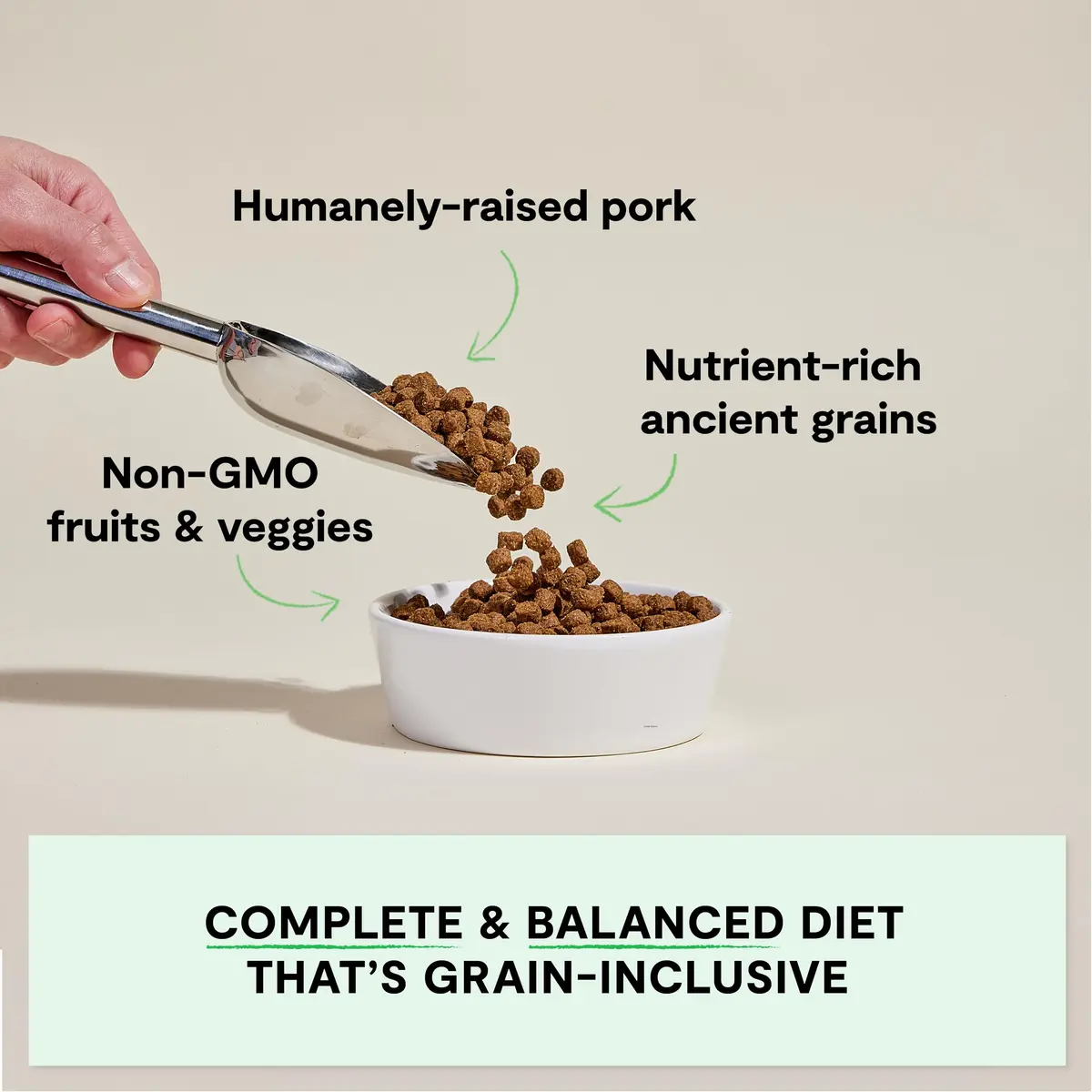 Open Farm Ancient Grains Dry Dog Food, Farmer's Table Pork Kibble, 1.81kg (4lb) | Grain-Inclusive, Sensitive Stomach Support - view 2