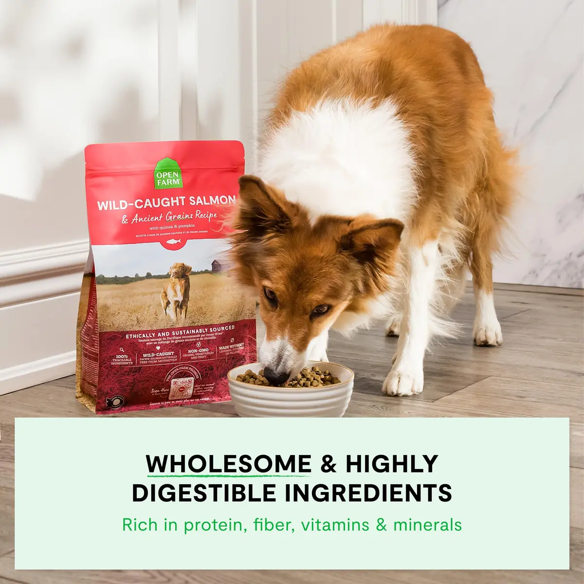 Open Farm Ancient Grains Dry Dog Food, Farmer's Table Pork Kibble, 1.81kg (4lb) | Grain-Inclusive, Sensitive Stomach Support - view 3