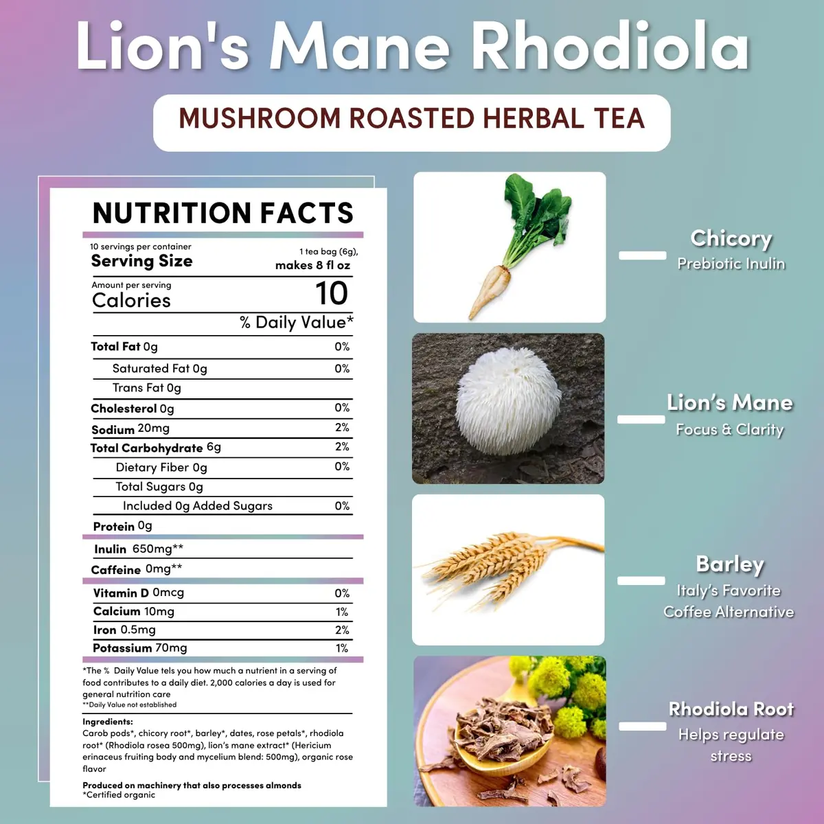 Teeccino Caffeine-Free Mushroom Adaptogenic Herbal Tea - 10 Tea Bags | Lion’s Mane Rhodiola Rose, Lightly Sweet from Dates & Figs - view 2