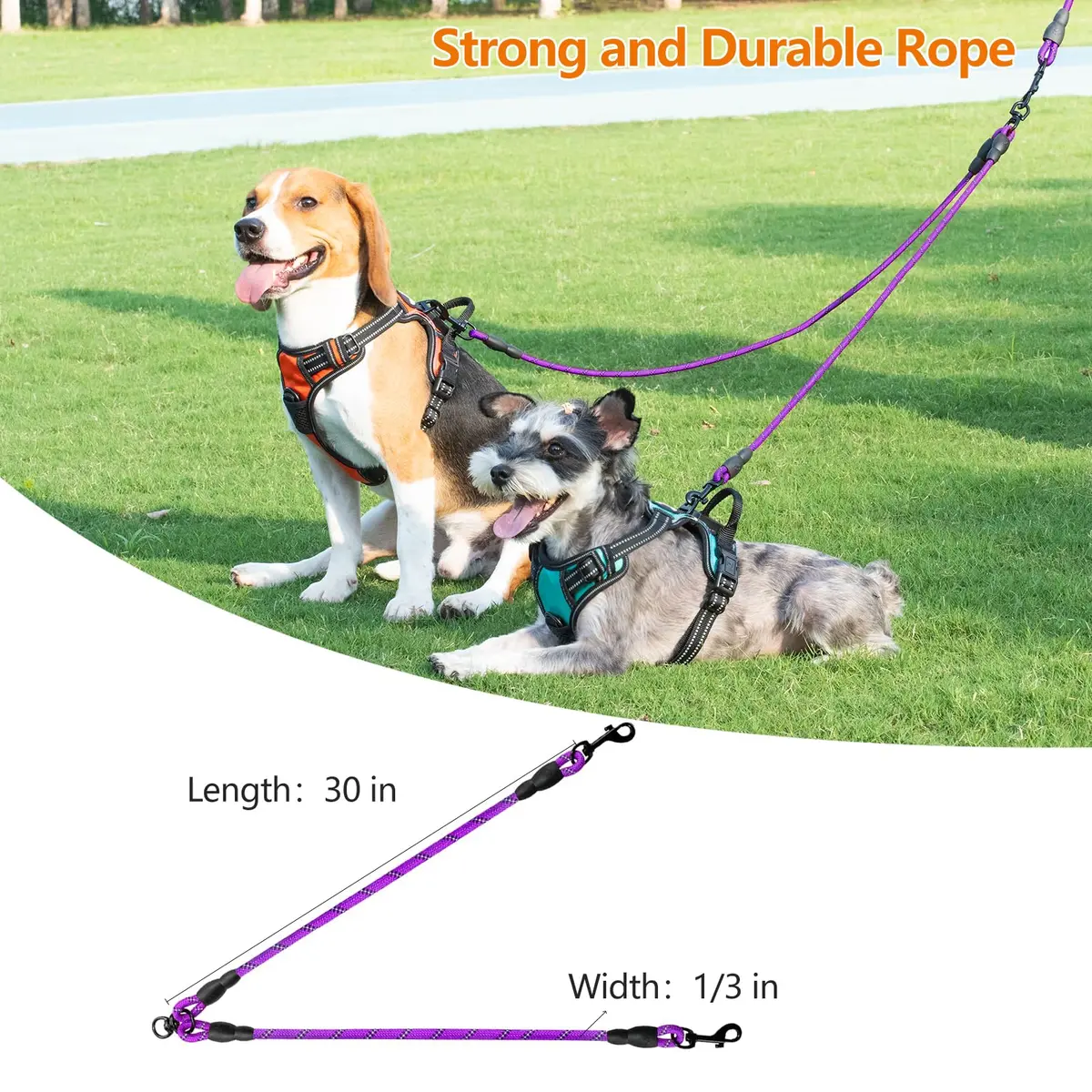 Taglory Double Dog Leash Coupler for Two Dogs, 76.2 cm (30 Inch) Purple | Tangle-Free Walks for Small to Medium Dogs - view 5