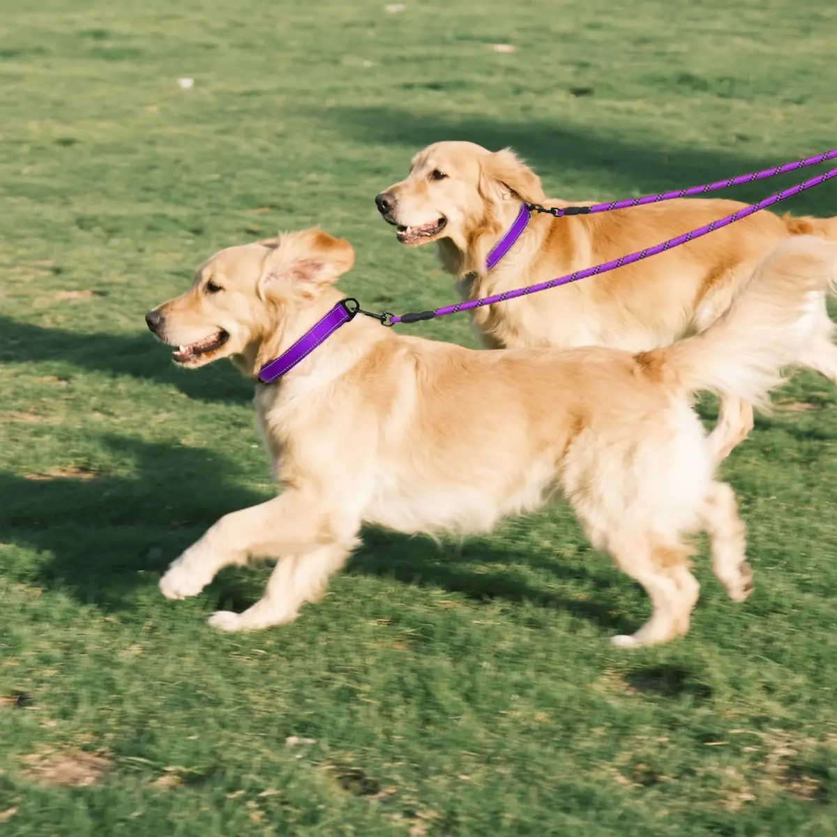 Taglory Double Dog Leash Coupler for Two Dogs, 76.2 cm (30 Inch) Purple | Tangle-Free Walks for Small to Medium Dogs - view 7