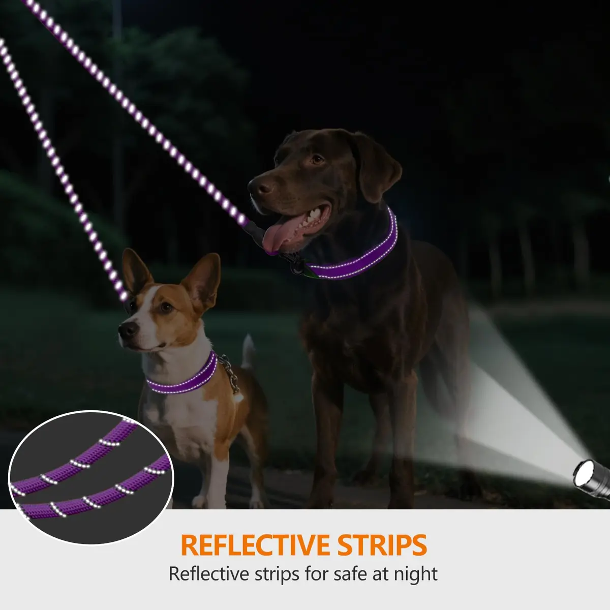 Taglory Double Dog Leash Coupler for Two Dogs, 76.2 cm (30 Inch) Purple | Tangle-Free Walks for Small to Medium Dogs - view 4