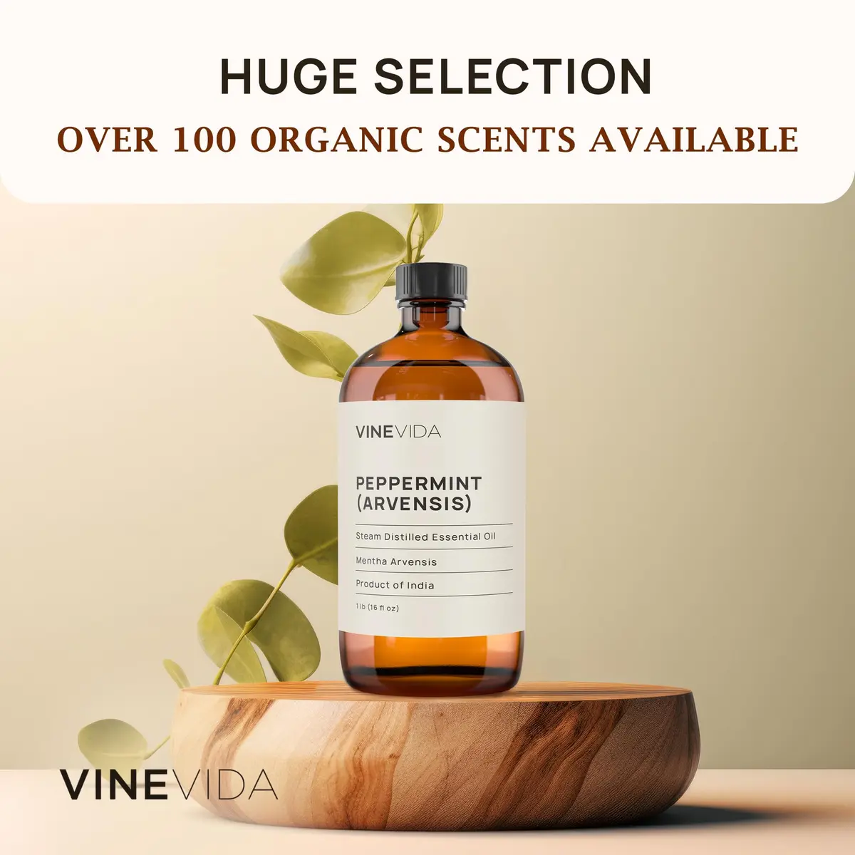 VINEVIDA 16 oz Peppermint Essential Oil | Pure, Undiluted Aromatherapy for DIY Crafts & Skin (110 characters) - view 3